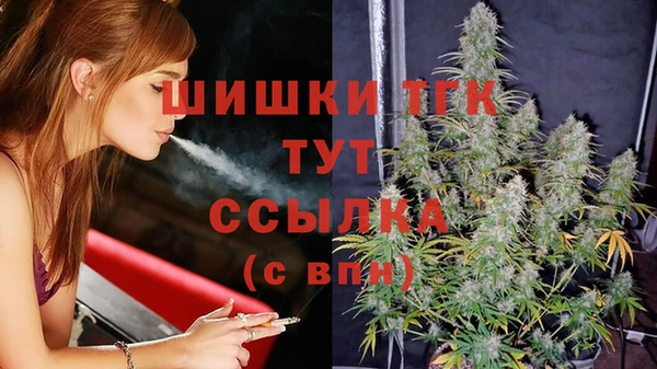 крисы Абаза