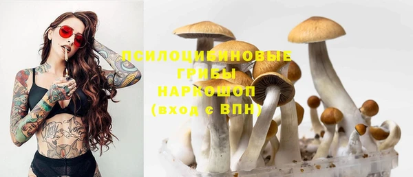 MESCALINE Абинск