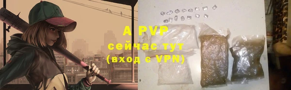 крисы Абаза