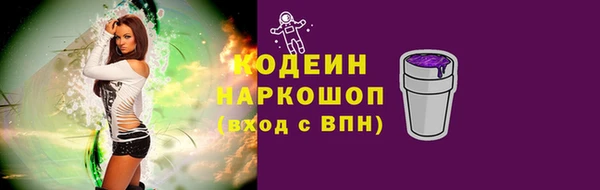 крисы Абаза