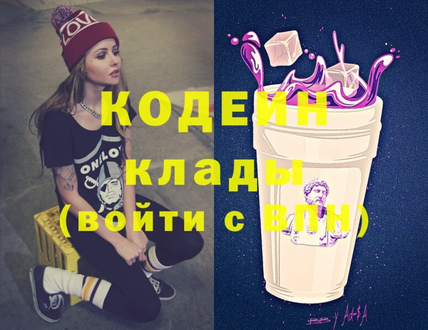 крисы Абаза