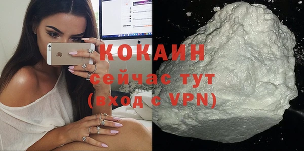 крисы Абаза
