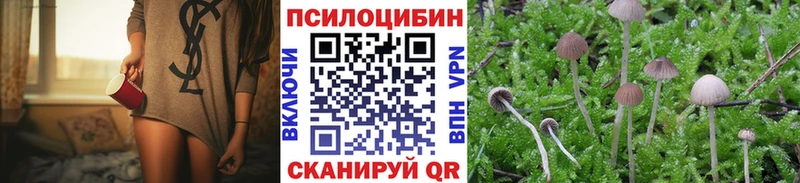 Галлюциногенные грибы Magic Shrooms  наркота  Ростов-на-Дону 